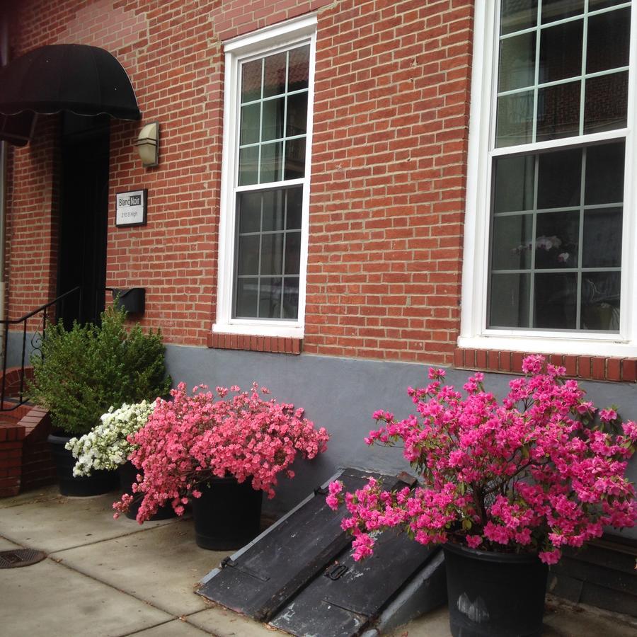 Bed and Breakfast Blancnoir Baltimore Exteriér fotografie